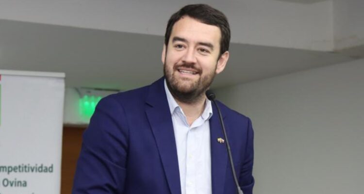 ARCHIVO | @gorearaucania – Twitter