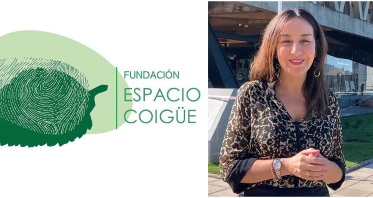 Gore de La Araucanía transfirió $400 millones a fundación de ex candidata a diputada de Chile Vamos