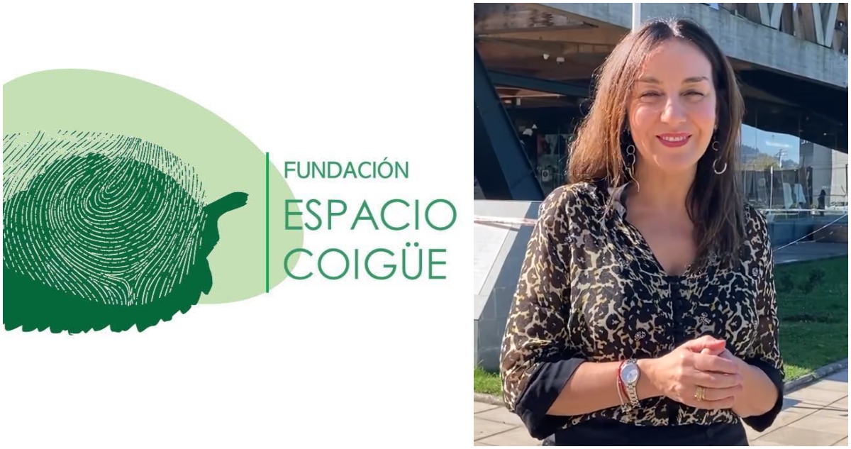 Gore de La Araucanía transfirió $400 millones a fundación de ex candidata a diputada de Chile Vamos