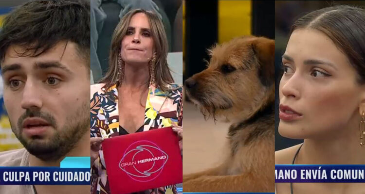 Los integrantes de Gran Hermano durante el comunicado sobre el presunto maltrato de Bigote.