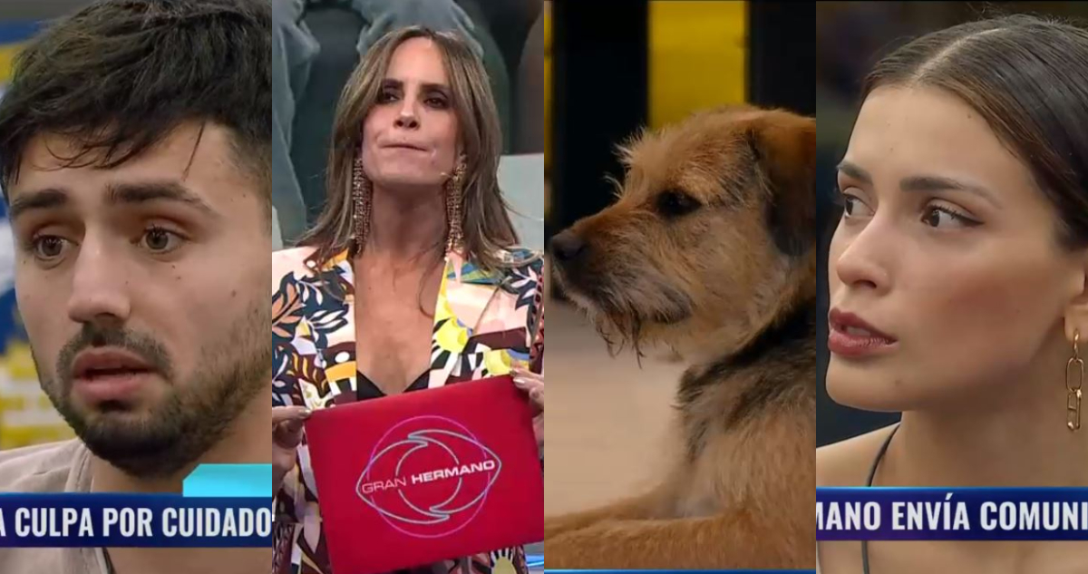 Los integrantes de Gran Hermano durante el comunicado sobre el presunto maltrato de Bigote.