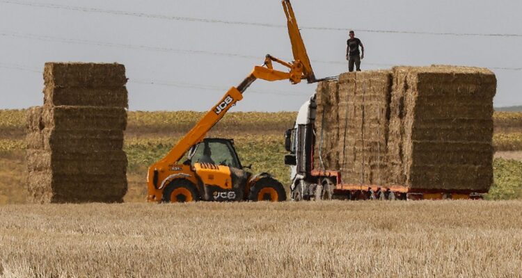 ONU acusó a Rusia de arriesgar seguridad alimentaria tras retirase del “acuerdo del grano”