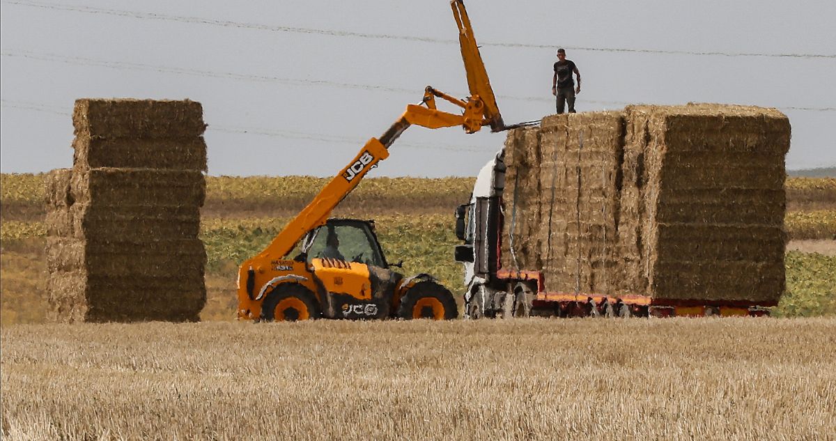 ONU acusó a Rusia de arriesgar seguridad alimentaria tras retirase del “acuerdo del grano”