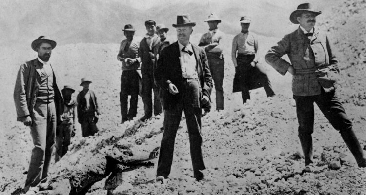 Detalle de la portada