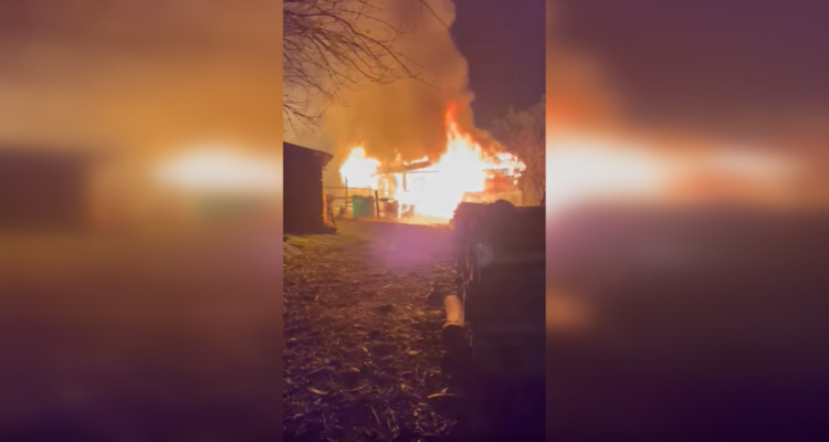 Adulto mayor muere en incendio que consumió vivienda en sector rural de Carahue