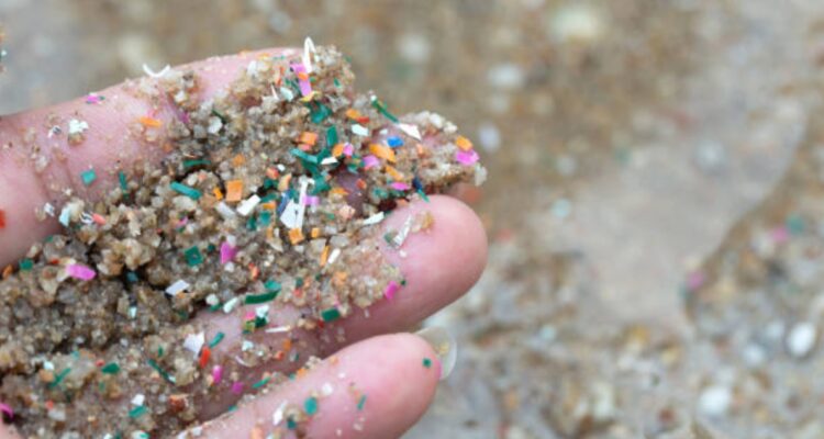 Microplásticos en bahía de Valparaíso