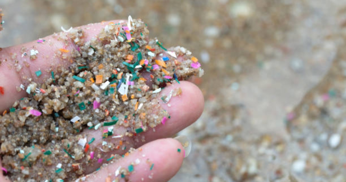 Microplásticos en bahía de Valparaíso