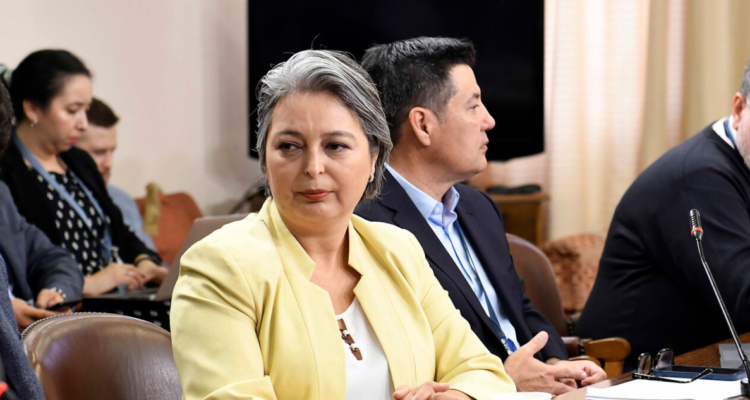 jara – reforma previsonal