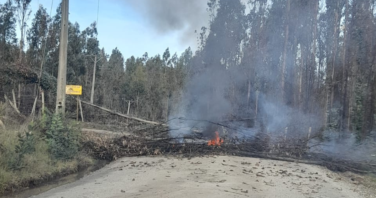 Motorista muere tras chocar con un árbol atravesado como barricada en ruta interior de Cholchol