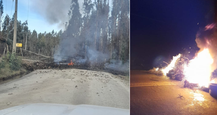 Motorista muere tras chocar con árbol de barricada en Chol Chol: protestan por caminos en mal estado