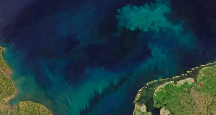 El cambio climático ha cambiando el color del 56% de los océanos: podrían ser completamente verdes