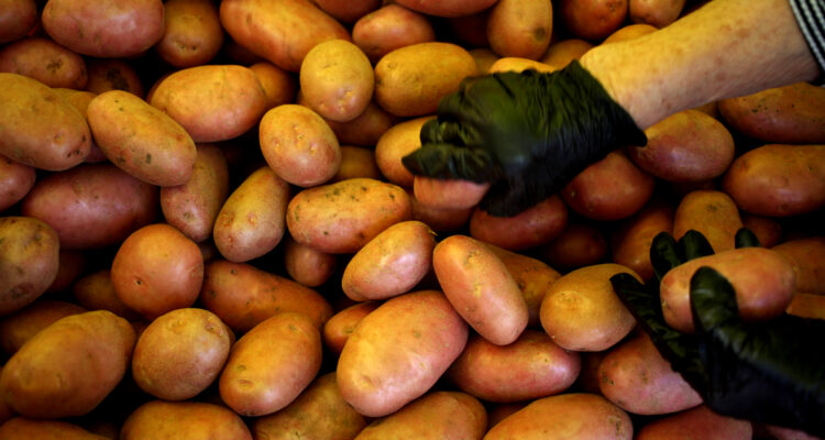 El kilo de papas a casi “luca”: El impacto de los temporales ya se nota en algunos precios