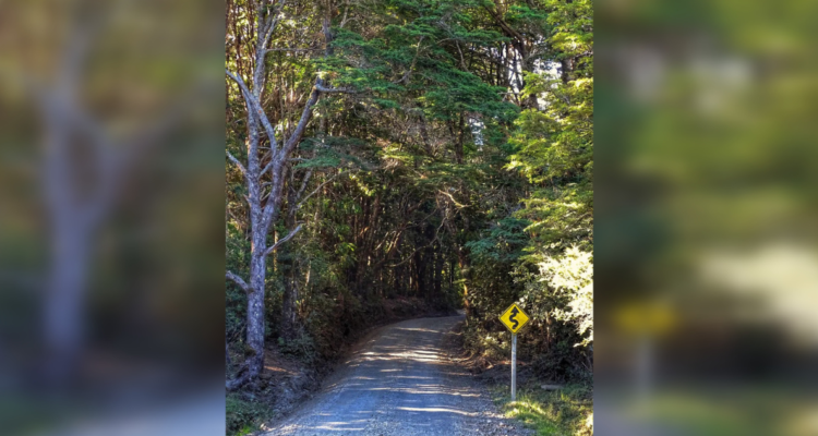 Parque Nacional Alerce Costero