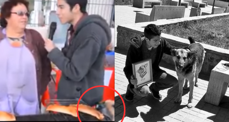 Orejón, el perrito roba empanadas