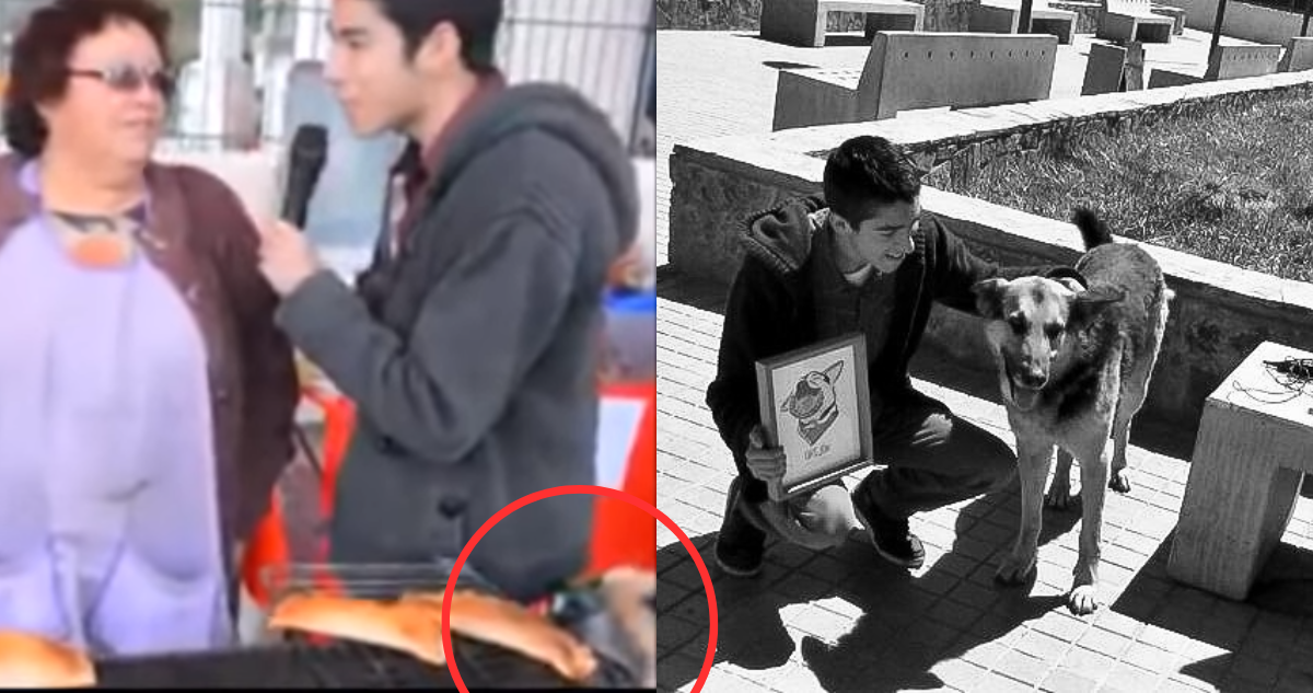 Orejón, el perrito roba empanadas