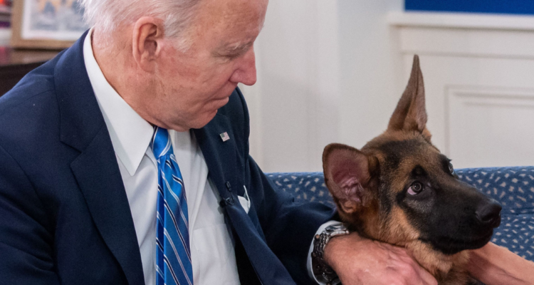 Perro de Joe Biden