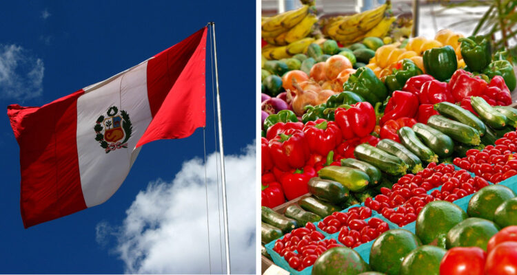 John Serrao | Wikimedia Commons | Gabe Raggio | Pixabay