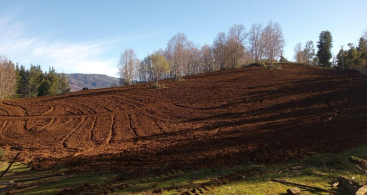 Plan de reactivación rural