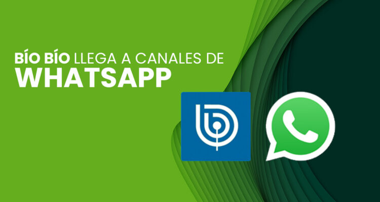 Canales de WhatsApp