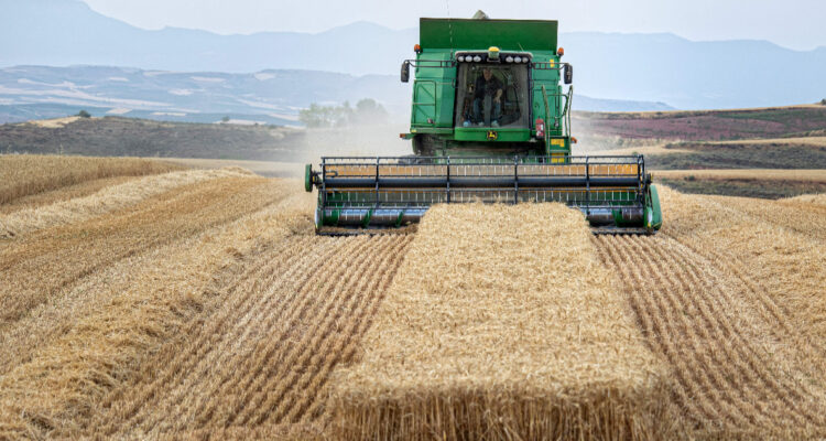 Precio del trigo se dispara en medio de bombardeos en puertos de Ucrania