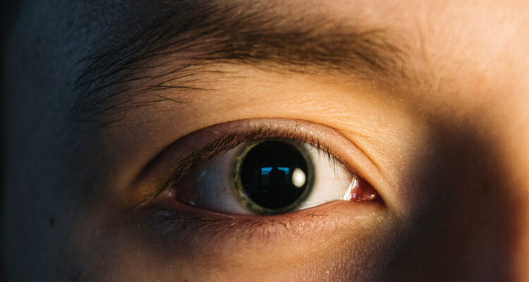 ¿Por qué las pupilas se dilatan y contraen?: Los científicos creen haber encontrado la respuesta