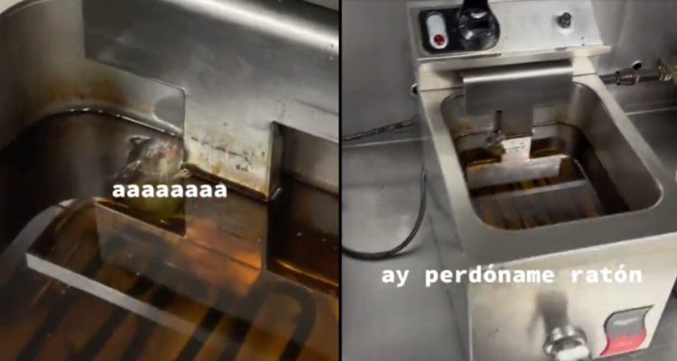 Rata ‘nadando’ en aceite