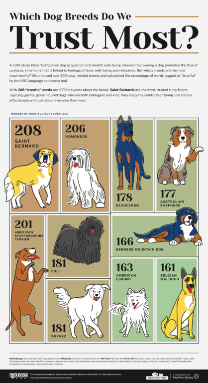 Día del perro: las 10 razas que nos hacen más felices 
