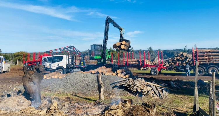 madera robada cañete