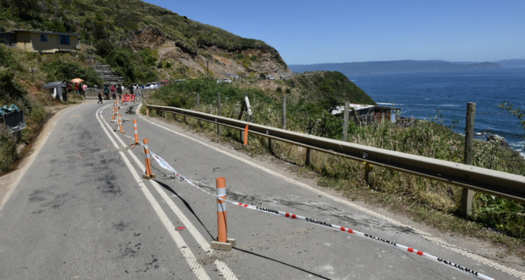 ruta Valdivia Niebla