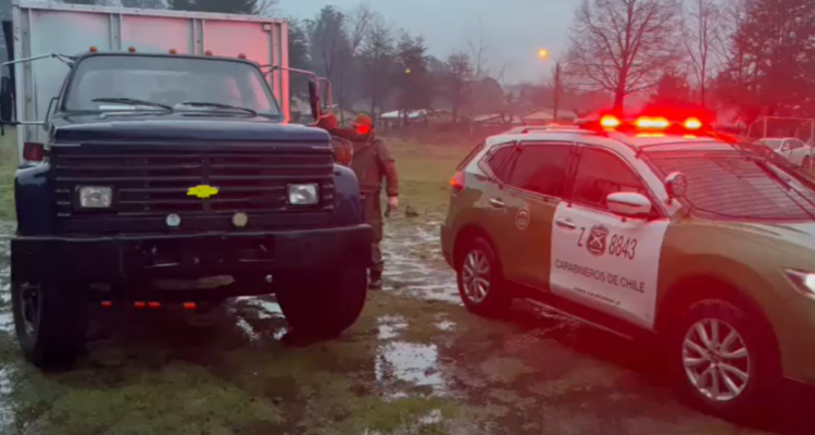 Seis detenidos por robo de madera