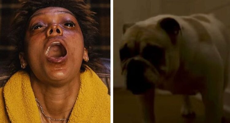 “Talk to me”, la nueva película de terror de A24 cuenta con escenas catalogadas como “perturbadoras” ¿cuándo se estrena en cines de Chile?