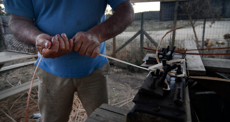 Contexto/Agencia UNO