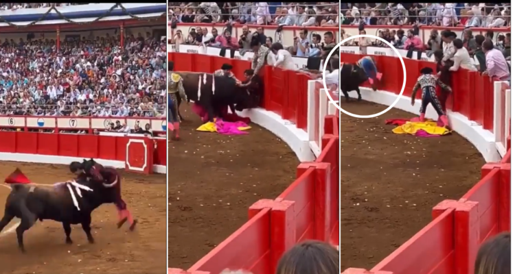 Ataque a Andrés Roca Rey