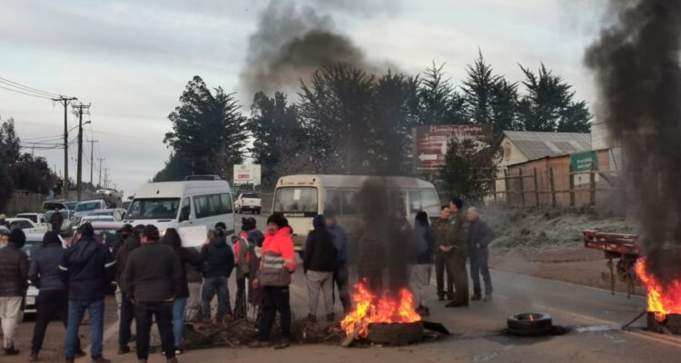 Trabajadores forestales por robo de madera