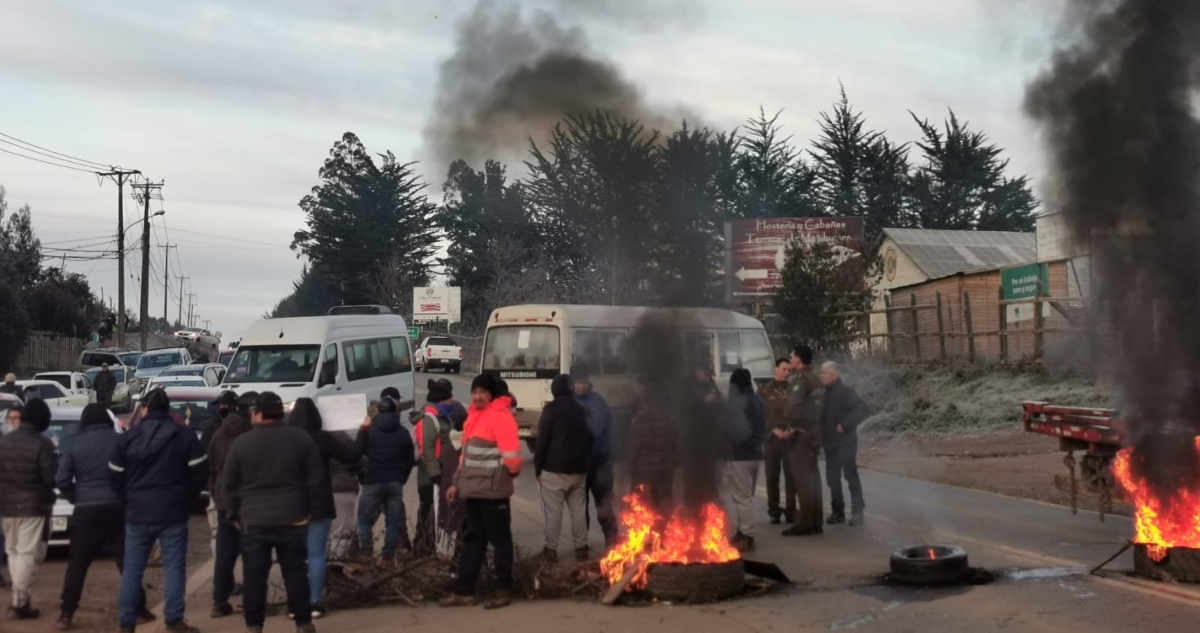 Trabajadores forestales por robo de madera