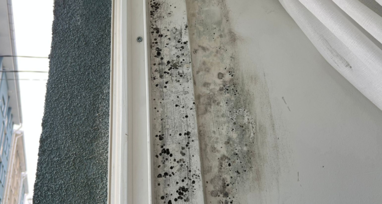 Valdivia departamentos sociales