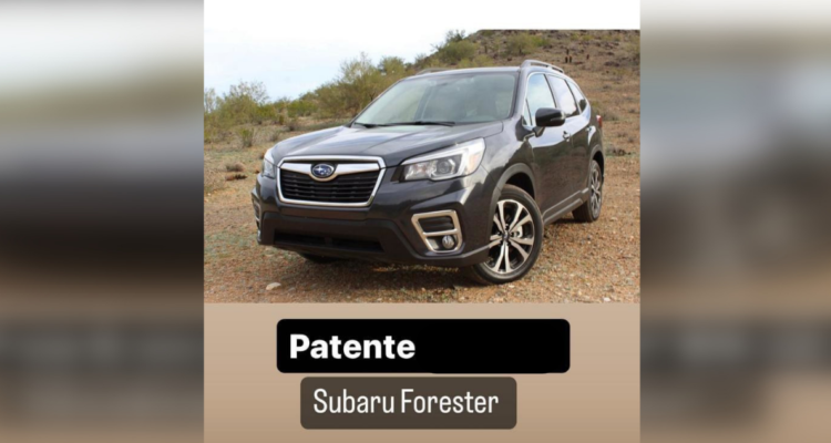 Roban vehículo particular a delegada presidencial de Malleco: estaba al interior de su vivienda