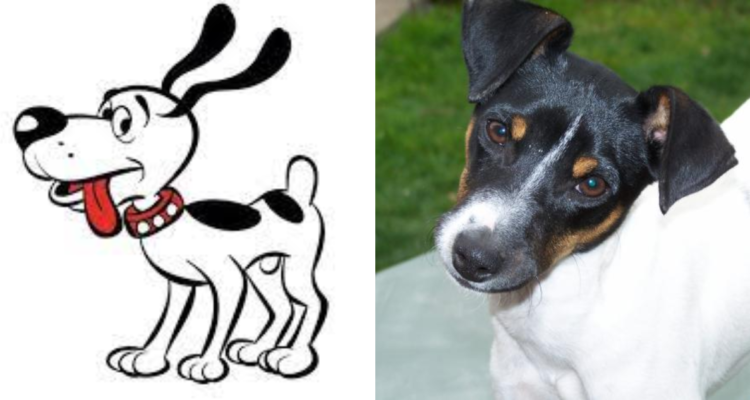 Washington DC, perro de Condorito (izquierda) y Terrier Chileno, raza nacional (derecha)