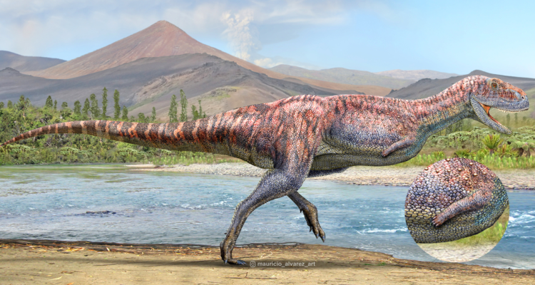 Identifican dinosaurio de brazos extremadamente cortos que vivió hace 92 millones de años en Coquimbo