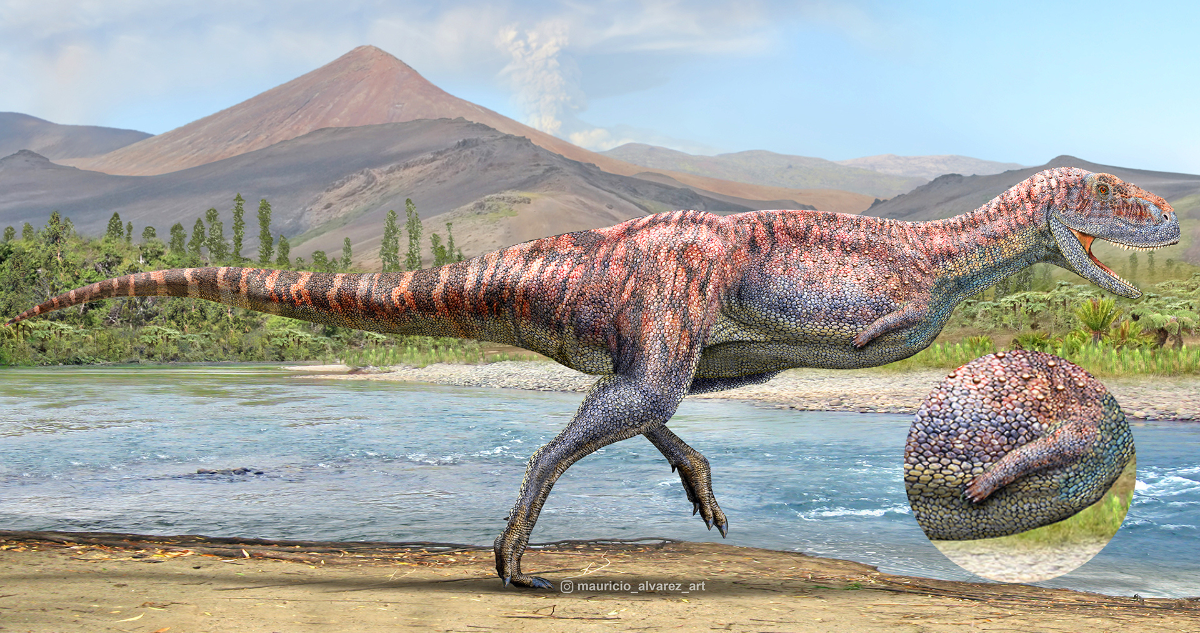 Identifican dinosaurio de brazos extremadamente cortos que vivió hace 92 millones de años en Coquimbo