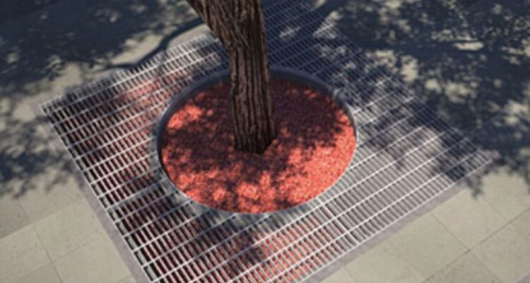 Qué son los alcorques y para qué sirven: el desconocido elemento que vemos todos los días en parques y plazas del mundo y Chile.