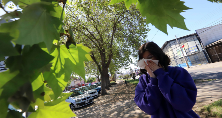 Día Mundial de la Alergia, más vale estar prevenidos