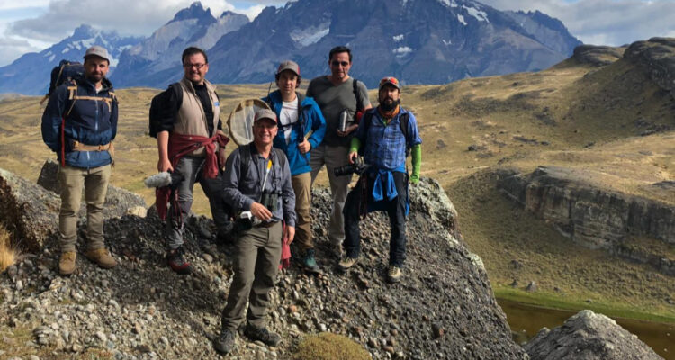 Selva Viva en Patagonia