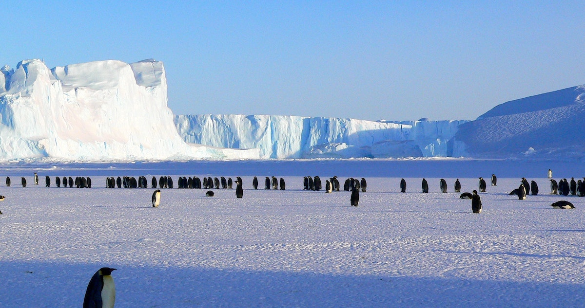Antártica no es inmune al calentamiento global