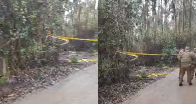 Cuerpo decapitado hallado en Hualpén correspondería a hombre de nacionalidad extranjera