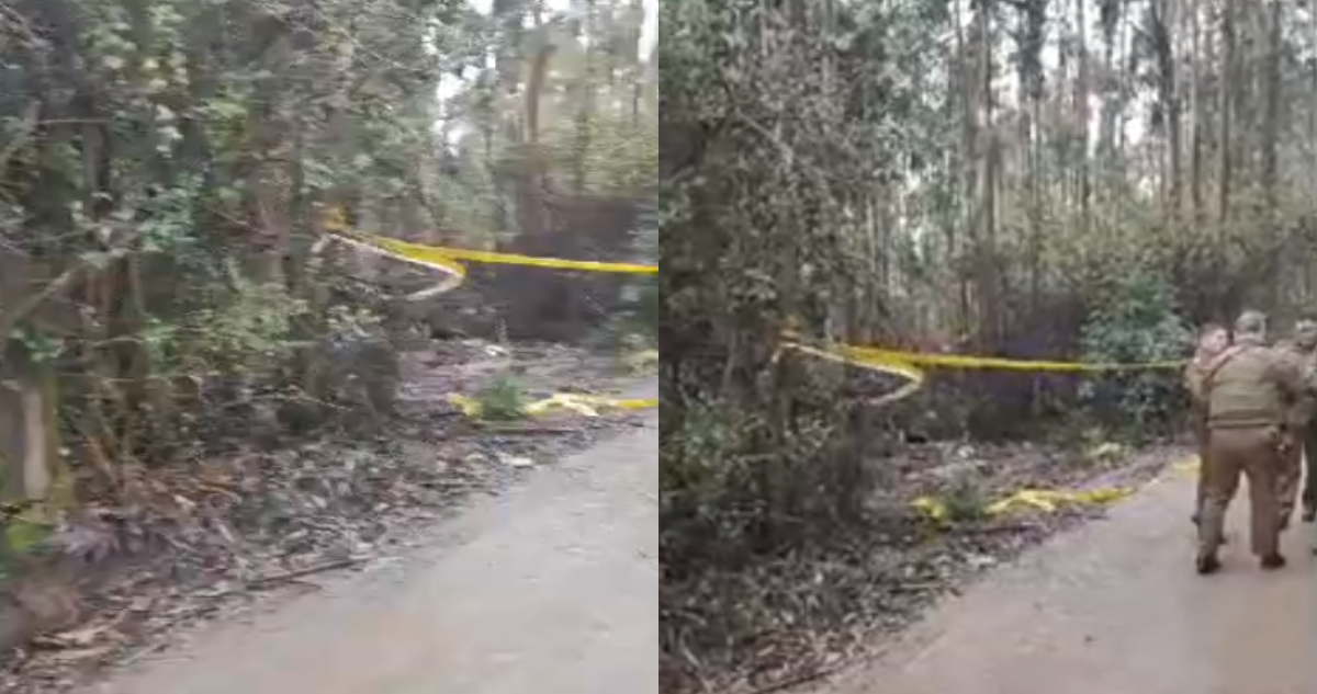 Cuerpo decapitado hallado en Hualpén correspondería a hombre de nacionalidad extranjera