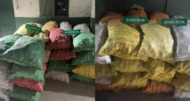 Decomisan 7 toneladas de papas que intentaban ingresar por Bolivia y Perú ante explosión de precios