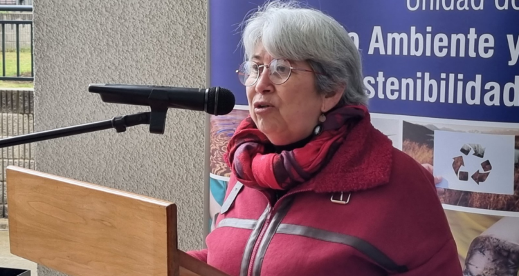 Seremi de Cultura de Valparaíso niega conflicto de interés en polémicos y millonarios convenios