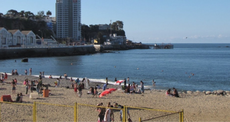 Valparaíso: Seremi de Salud detecta presencia de coliformes por sobre la normativa en playa San Mateo