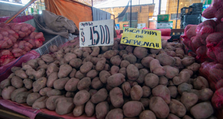 Odepa afirma que reciente alza de la papa se escapa del comportamiento histórico de oferta y demanda